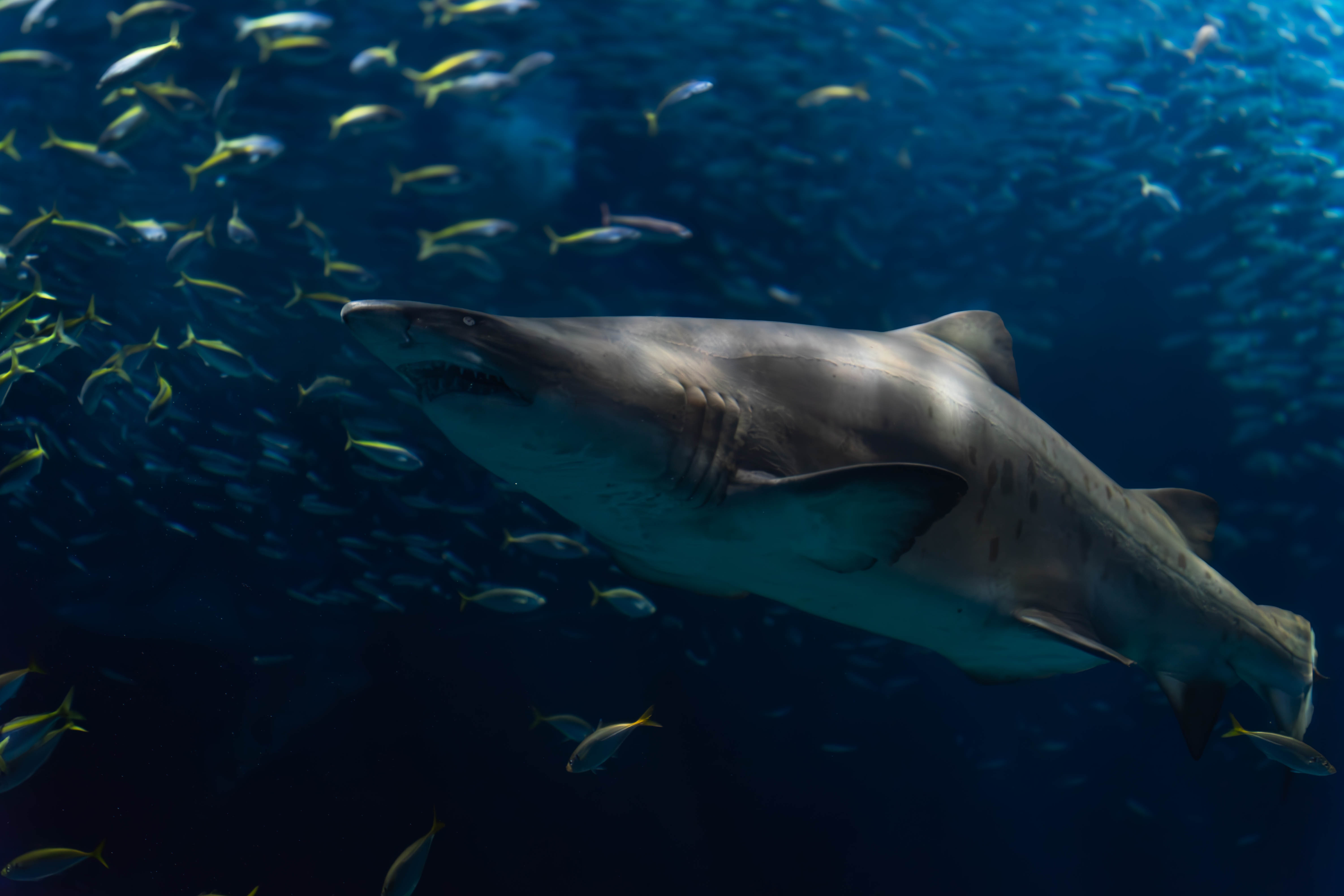 Desktop banner image 2